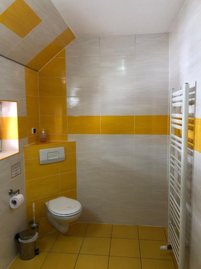 Pensiunea Haus Paltinul Сибиу Экстерьер фото